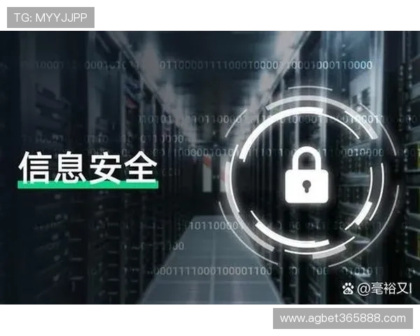 bet365中文版安全保障措施，保障用户资金与个人信息安全的详细介绍