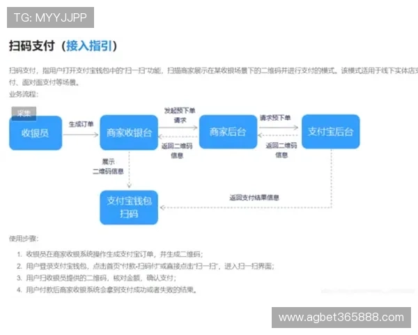 b0b体育平台多元化的支付方式与提款流程详解，保障资金快速到账
